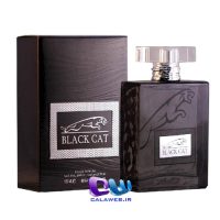 Black cat Black cat