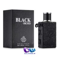 Black orchid Black orchid