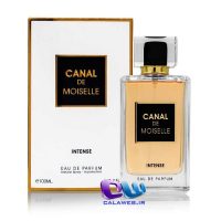 canal de moiselle intense canal de moiselle intense